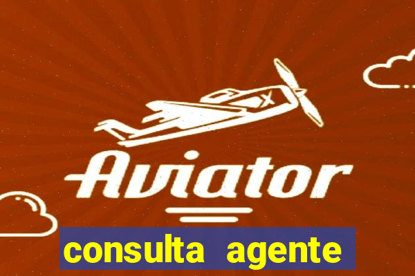 consulta agente autuador sp